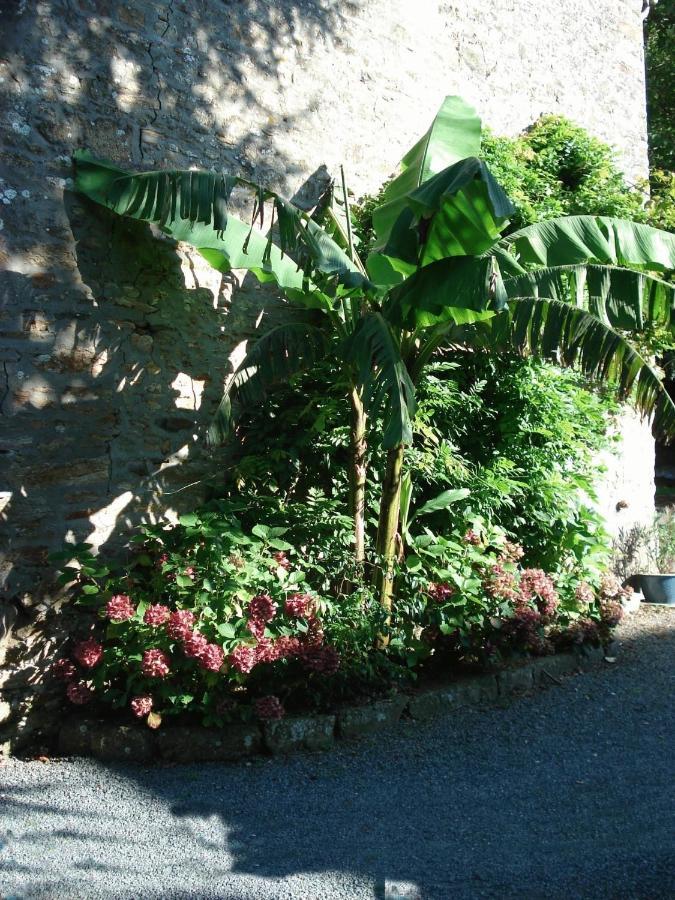 Le Clos Des Tilleuls La Vendelée Exterior foto